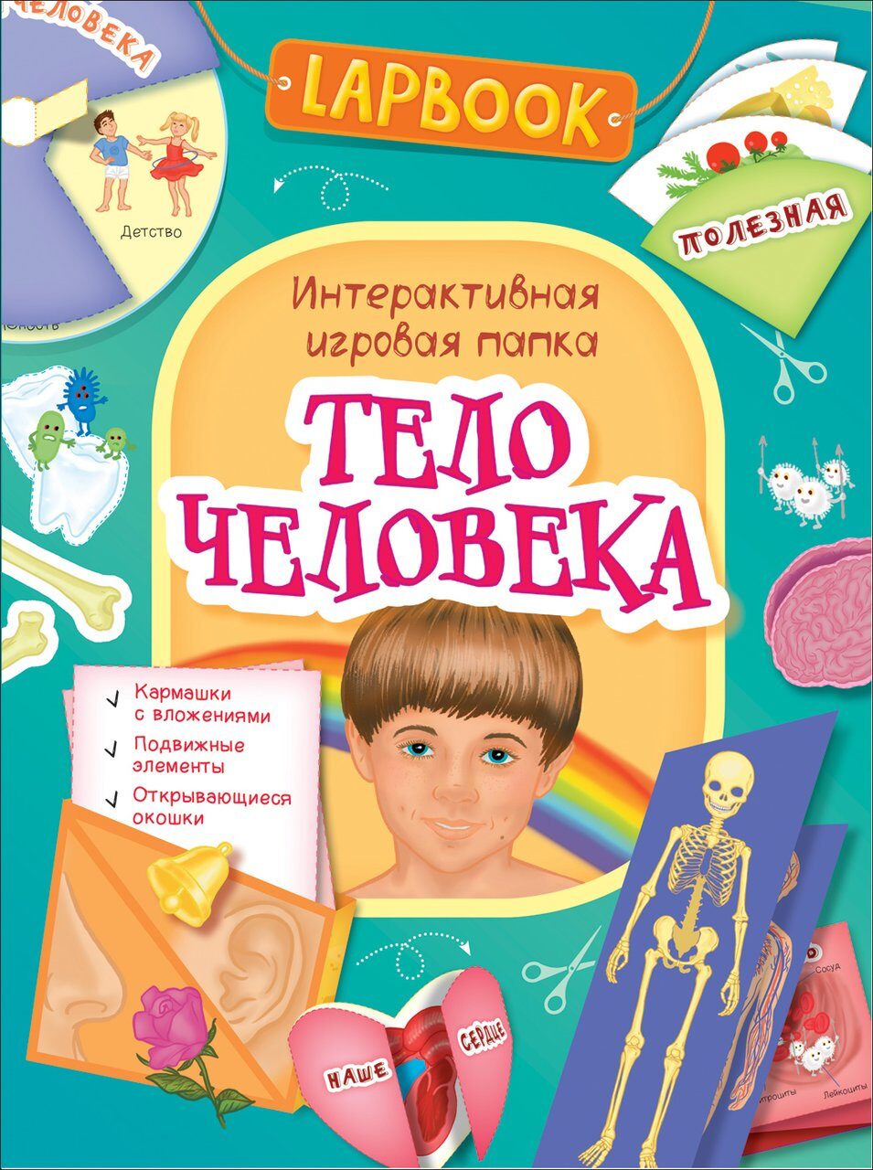 Тело человека. Интерактивная игровая папка Lapbook.