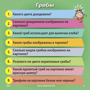 Природа, Сундучок знаний (Brainbox), игра