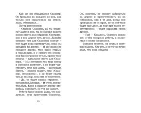 Свидетели ограбления. Секретная семерка #3, Блайтон Э., книга