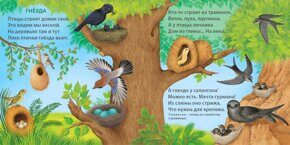 Удивительные дома животных, книжки - картонки