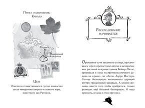 Агата Мистери. Кража на Ниагарском водопаде #4, С. Стивенсон, книга