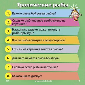 Природа, Сундучок знаний (Brainbox), игра