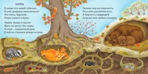 Удивительные дома животных, книжки - картонки