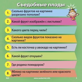 Природа, Сундучок знаний (Brainbox), игра